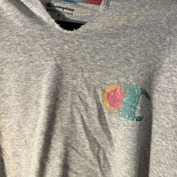 Champion Womens Cropped Gray Hoodie Sweatshirt Rainbow Size Medium - Picture 2 of 9